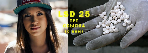 spice Липки