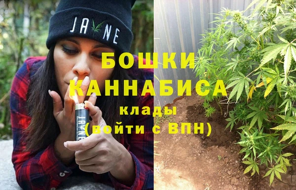 spice Липки