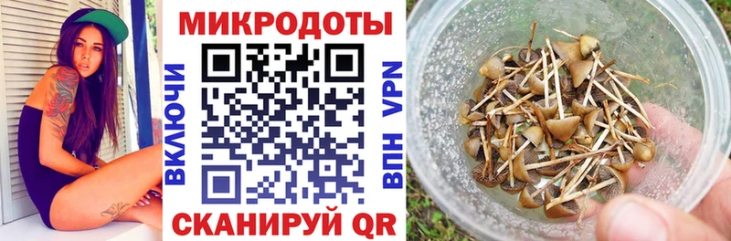 Галлюциногенные грибы Magic Shrooms купить наркотик Черноголовка
